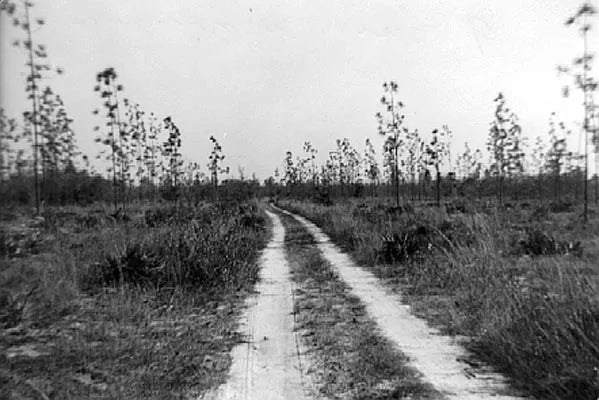Gulf to Glades Expedition (F.A.T) February 20-22, 2026