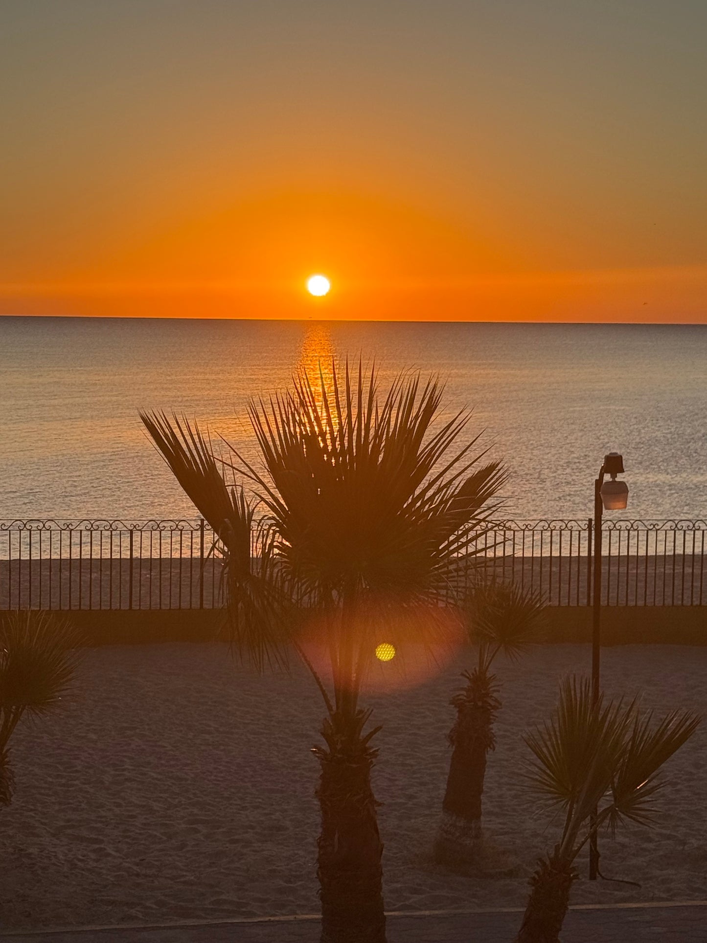 Baja Excursion- October 31 - November 8, 2026