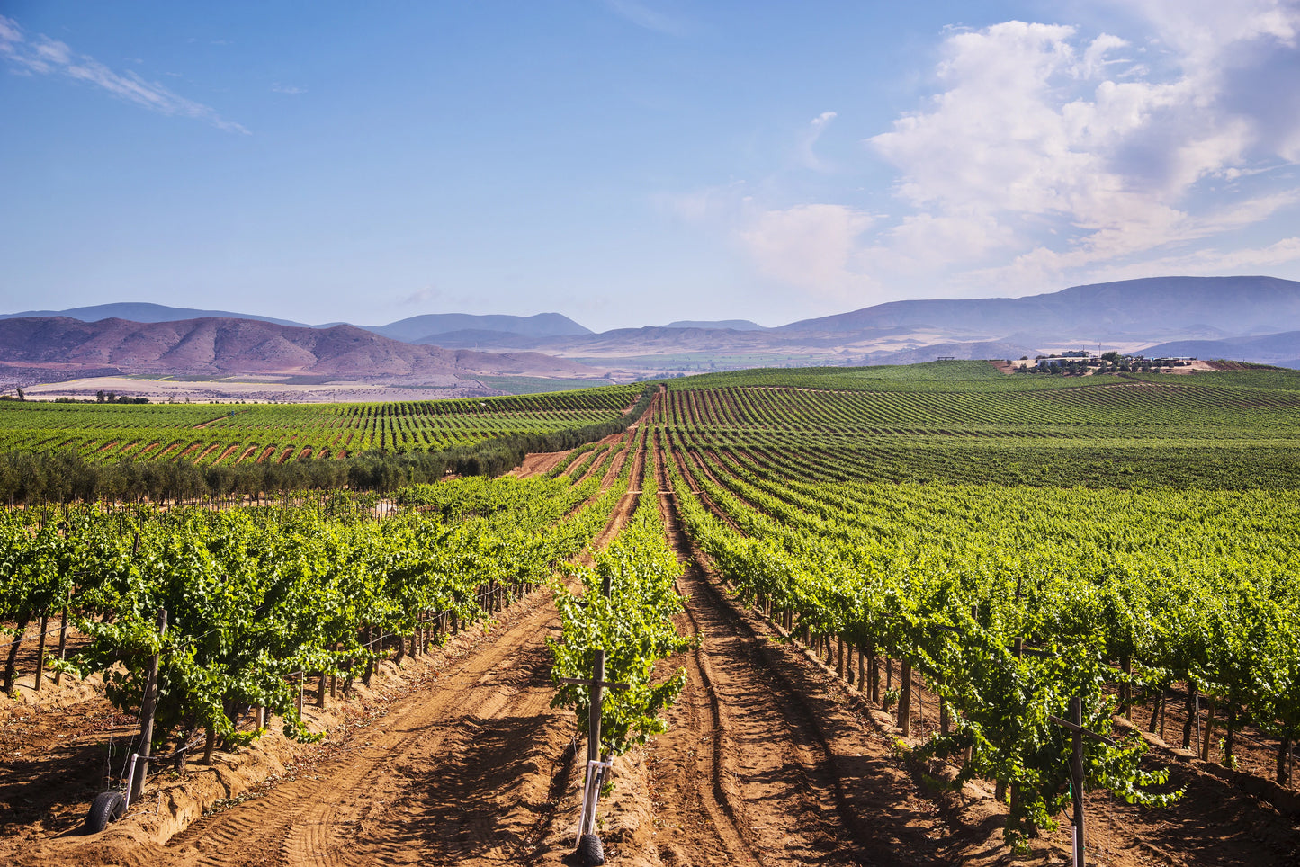 Baja Probado 500 - 7-Day Expedition Across the Baja Peninsula -November 9-15, 2026