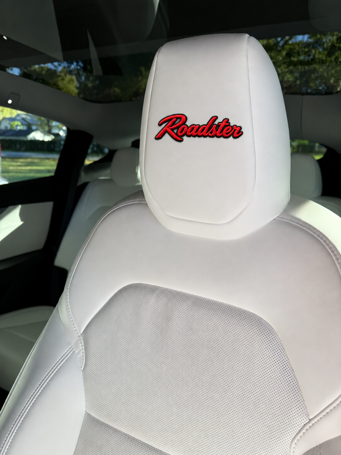 Seat Graphix™   Headrest Graphics for your ride- Sold as a pair